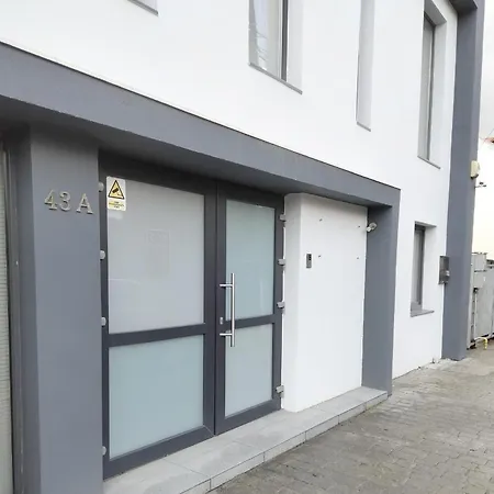 Apartament De Lux 90 Mp Apartment *